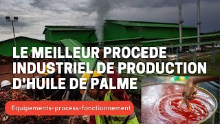 Le meilleur procédé industriel de production dhuile de palme [upl. by Refenej]