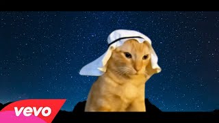 Arabian cat  Official Music VIdeo ftPanjabi MC [upl. by Manella637]