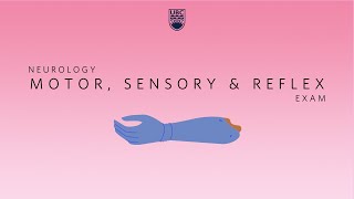 Neurology Clinical Skills  Motor Sensory amp Reflex Neurological Exam neurology ubcmedicine [upl. by Pia]