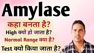 Amylase क्या होता है  Amylase Test  Amylase blood test [upl. by Aeneus]