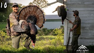 Turkey Hunting the Hardwoods of New York [upl. by Prue]