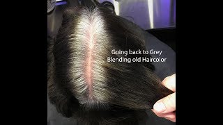 How to Perfectly Cover White or Grey Hair with Streaks and One Shade Dye beforeandafter [upl. by Ellertal]