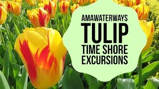 AmaWaterways Shore Excursions on Tulip Time River Cruise [upl. by Oah]