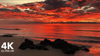 Perfect Sunrise at the Beach with Calming Sound of Waves  4K Ultra HD [upl. by Assirhc]