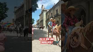 Así se vive un Cabalgata  oaxaca cabalgata caballos caballoshermosos [upl. by Yehudit]