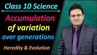 Accumulation of Variation over Generations Class 10 Science Heredity and Evolution [upl. by Arais]