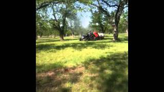 Texas pecans being sprayed [upl. by Adnilemre100]