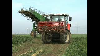 STEYR TRACTOR AND STOLL SUGAR BEET HARVESTER [upl. by Ultima]