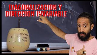 ¿Se pueden diagonalizar estas matrices  79 y 80113 [upl. by Ettevad]