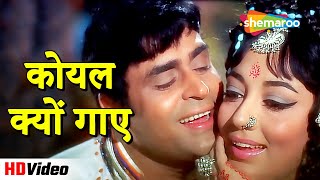 कोयल क्यों गाए HD  Aap Aye Bahaar Ayee 1971  Rajendra Kumar amp Sadhana  Lata amp Rafi Hits song [upl. by Zara]