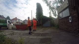 Conifer Tree Felling by Karl Fischer Garden Grounds amp Tree Maitanance Aigburth Liverpool [upl. by Ube]