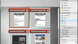 Acrobat X  Creating A PDF Portfolio  Tutorial [upl. by Brocky]