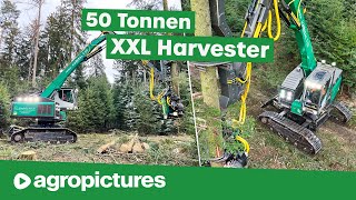 Holzernte XXL – Größter Harvester der Welt  IMPEX Hannibal T50 bei Vieghofer Holz  Forst Doku [upl. by Edlun]