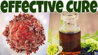 CANCER Cure with BLACK SEEDS Oil What You NEED to Know about BLACK SEED OIL Cancer Treatment [upl. by Undis133]