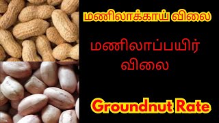 விக்கிரவாண்டி மணிலாக்காய் விலை  Daily Peanut And Groundnut Wholesale Rate At Vikravandi Mandi [upl. by Bamby]