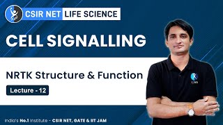 NRTK Structure amp Function  Cell Signalling For CSIR NET amp GATE Exam 2023  IFAS [upl. by Yesnil]