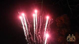 T31 64 profesional Mines cal 08  Rolando Rivas fuegos artificiales  64 Disparos [upl. by Lyrehs]