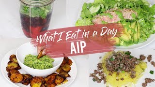 What I Eat in a Day AIP Meal Ideas [upl. by Brosine996]