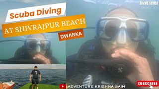 Scuba Diving at Shivrajpur Beach Dwarka  Deep water Dive  Suba Dive [upl. by Eilyah]