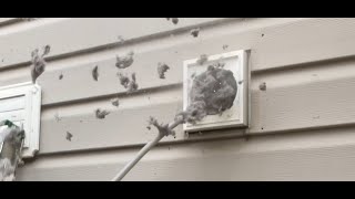 Cleaning a DRYER VENT What Happened to Work Ethic almetaldryervent satisfying viral funny [upl. by Anyale]