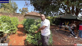 Smart Organic Gardens Shamba Solution and Pure Plant Organics  GMOFree Farming in Kenya [upl. by Niggem]