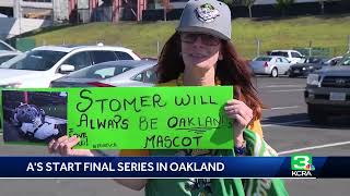 As start final series in Oakland [upl. by Akinaj]