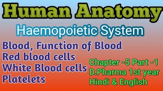 Function of Blood  Red blood cells  White blood cells  Haemopoietic System DPharma 1st year [upl. by Lokin]