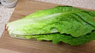 How To Make  Lettuce Salad [upl. by Neala]