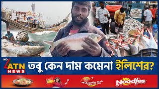 ইলিশের দাম বেশি থাকার নেপথ্য কারণ কী Hilsa Fish Hilsa High Price Reason  Not Export Hilsa  Puja [upl. by Ennayhc]