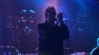 Echo amp the Bunnymen  Bedbugs and Ballyhoo Salt Lake City 612024 [upl. by Wichern]