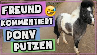 FREUND KOMMENTIERT PONY PUTZEN [upl. by Terti801]