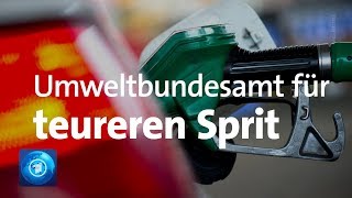 Umweltbundesamt für höhere Spritpreise [upl. by Ande]