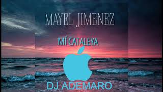 Mayel Jimenez  Mí Cataleya ✖ DJ ADEMARO [upl. by Cimbura]