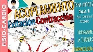 ACOPLAMIENTO EXCITACIÓN CONTRACCIÓN cardíaca Explicación Fácil y FármacosFisiología Cardíaca [upl. by Eolande]