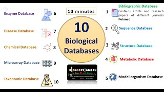 Types of Biological Database in Bioinformatics with example [upl. by Maddox]