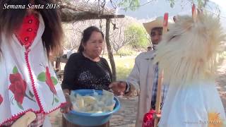 San Miguel Zapotitlan semana santa judios 2018 Jueves Santo 313 [upl. by Ephrayim560]