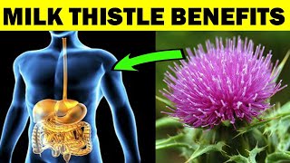 11 Ways MILK THISTLE Supports Your Health [upl. by Nima923]