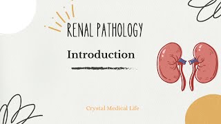 Renal Pathology Robbin’s  Introduction [upl. by Ocirema]