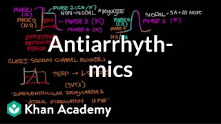 Antiarrhythmics  Circulatory System and Disease  NCLEXRN  Khan Academy [upl. by Grube350]