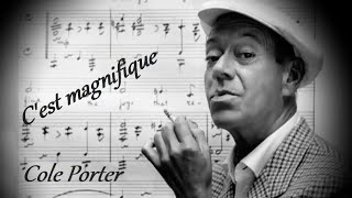 Cest magnifique  Cole Porter karaoke [upl. by Enorel]