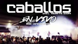 EN VIVO El Charal Caballos del norte [upl. by Refinnaj]