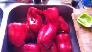 Dehydrating Bell Peppers [upl. by Lladnyk812]