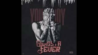 NBA Youngboy  Gangsta Fever AUDIO [upl. by Assiralk]