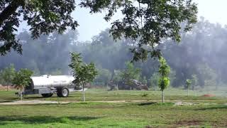 Pecan Spraying in Georgia [upl. by Ahsienom801]