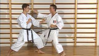 Karaté  cours 3  techniques de poing tsuki waza [upl. by Pegeen]