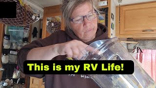 5 Day Solo RV Living at Amistad Reservoir Texas [upl. by Ennagem]