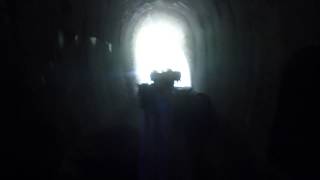 TRANSHUMANCE CHEVAUX DE MERENS DANS UN TUNNEL EN LIBERT [upl. by Spears884]