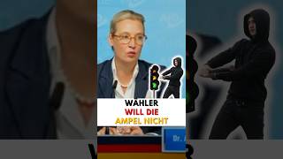 wahlen ostdeutschland ampelneuwahlen wahrheit [upl. by Eicnarf]