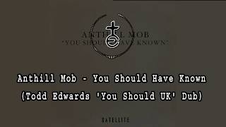 Anthill Mob  You Should Have Known Todd Edwards You Should UK Dub [upl. by Llerrut834]