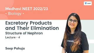 Excretory Products and Their Elimination  Structure of Nephron  L4  NEET 202223  Seep Pahuja [upl. by Annot]